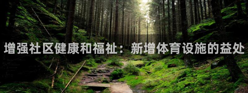 意昂3新能源：增强社区健康和福祉：新增体育设施的益处