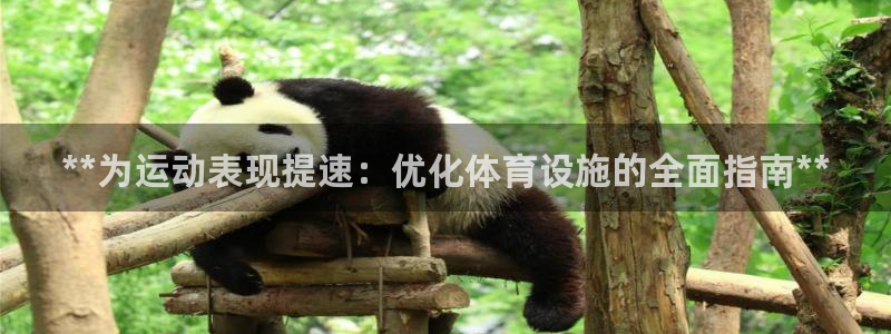 意昂3娱乐代理怎么样：**为运动表现提速：优化体育设