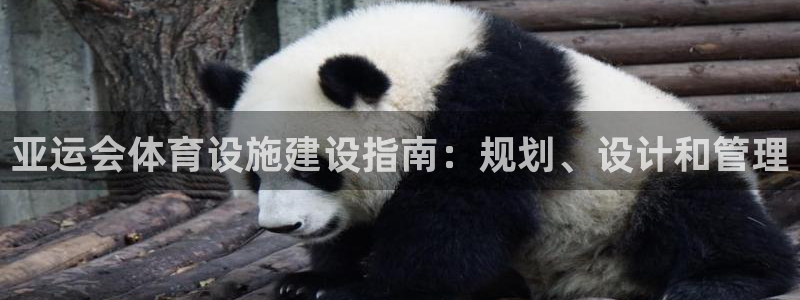 意昂3娱乐是那个系列的台子：亚运会体育设施建设指南：