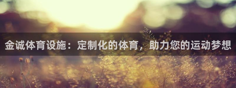意昂体育3：金诚体育设施：定制化的体育，助力您的运动