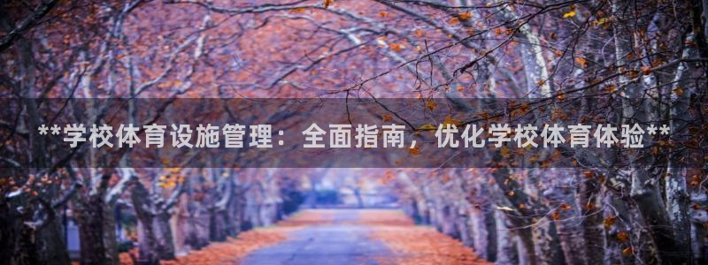 意昂3官方：**学校体育设施管理：全面指南，优化学校