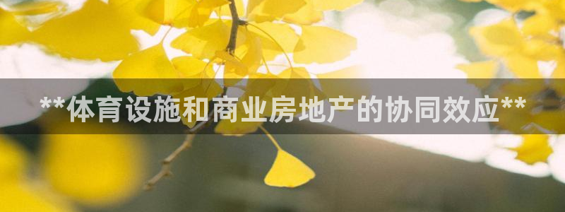 注册意昂3：**体育设施和商业房地产的协同效应**