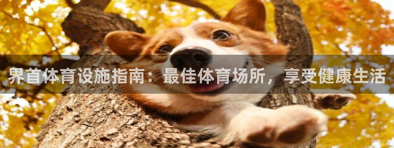 意昂体育3平台是正规平台吗安全吗：界首体育设施指南：