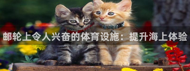 意昂3娱乐是那个系列的台子：邮轮上令人兴奋的体育设施
