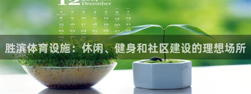 意昂3新能源：胜滨体育设施：休闲、健身和社区建设的理