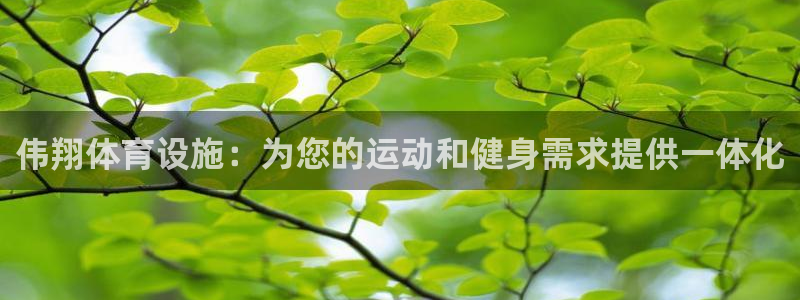 意昂3集团官网网址：伟翔体育设施：为您的运动和健身需