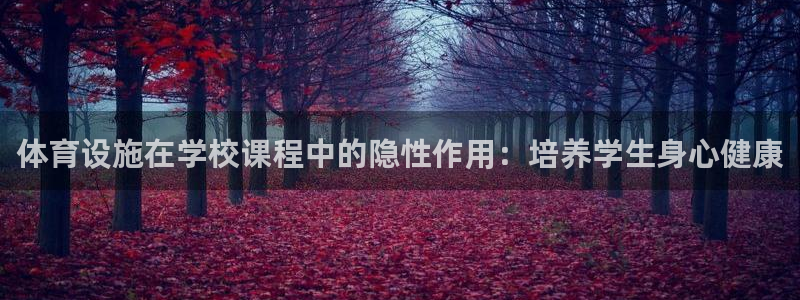 注册意昂3：体育设施在学校课程中的隐性作用：培养学生