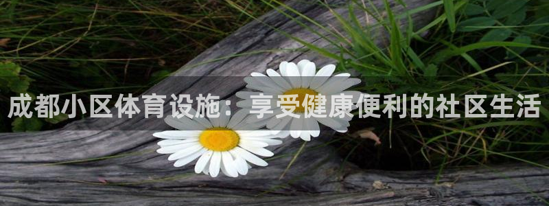 意昂体育3娱乐：成都小区体育设施：享受健康便利的社区