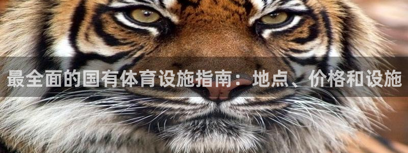 意昂3新能源：最全面的国有体育设施指南：地点、价格和