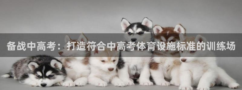 意昂3集团logo：备战中高考：打造符合中高考体育设