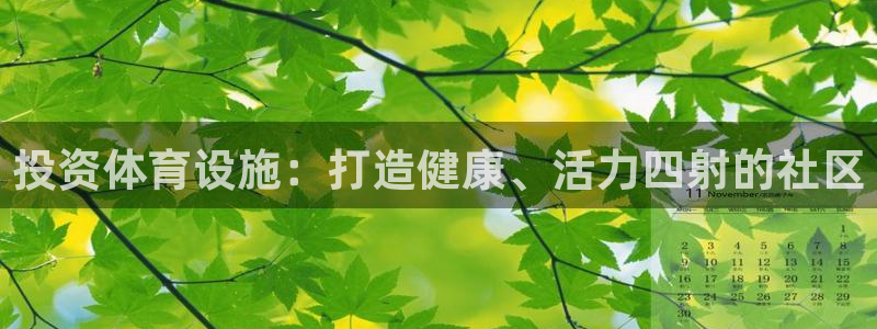 意昂体育3开户：投资体育设施：打造健康、活力四射的社