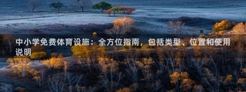 意昂3集团简介：中小学免费体育设施：全方位指南，包括