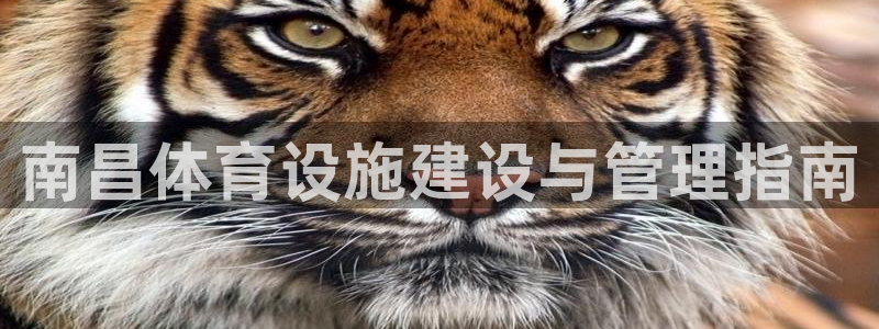 意昂体育3招商电话是多少：南昌体育设施建设与管理指南