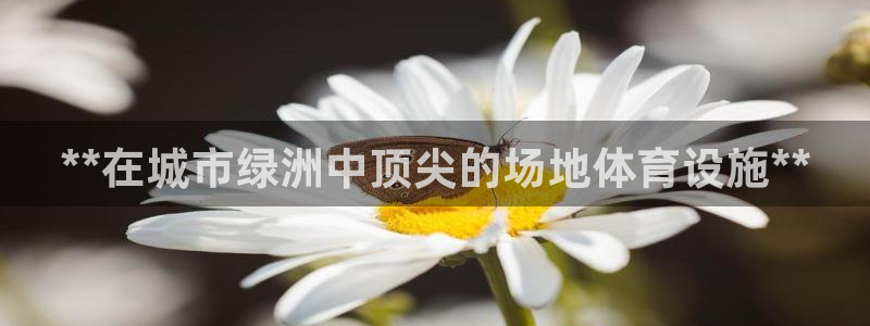德国意昂3集团：**在城市绿洲中顶尖的场地体育设施*