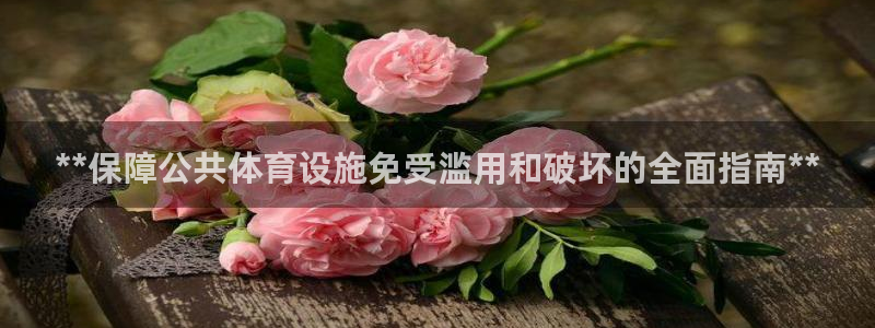 意昂体育3：**保障公共体育设施免受滥用和破坏的全面