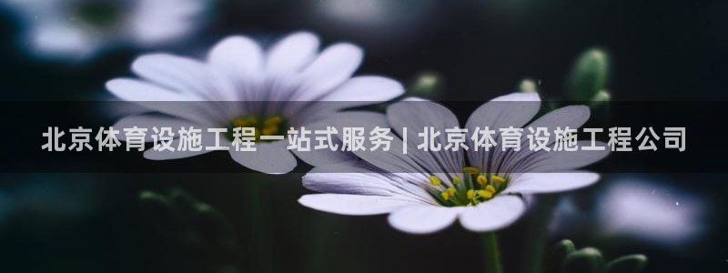 意昂3集团logo：北京体育设施工程一站式服务 | 