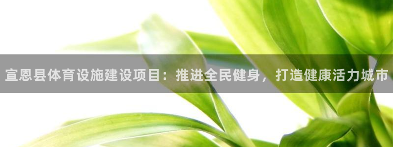 德国意昂3集团：宣恩县体育设施建设项目：推进全民健身