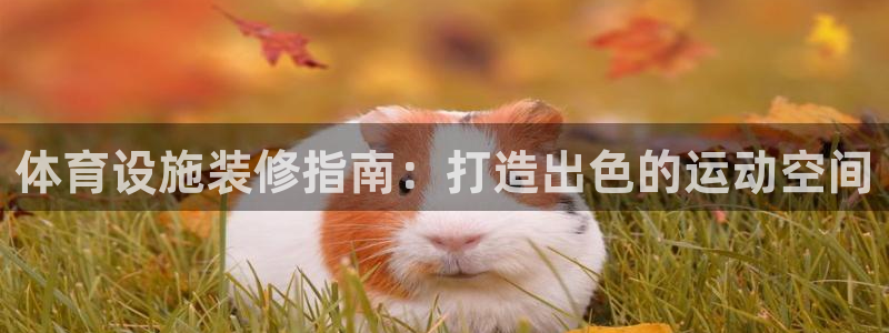 德国意昂3集团：体育设施装修指南：打造出色的运动空间