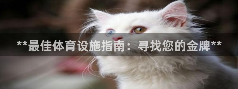 意昂体育3招商电话：**最佳体育设施指南：寻找您的金