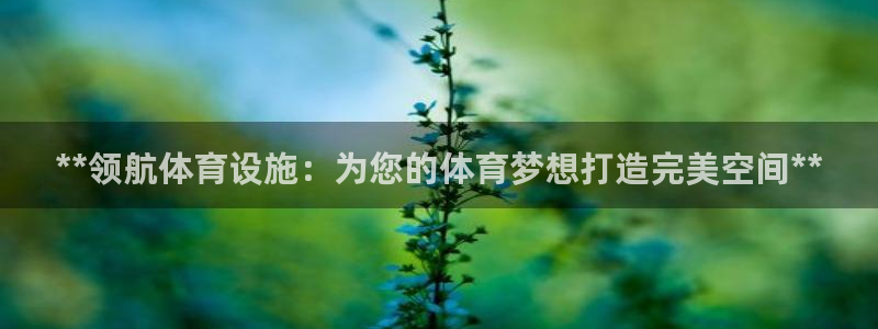意昂3科技：**领航体育设施：为您的体育梦想打造完美