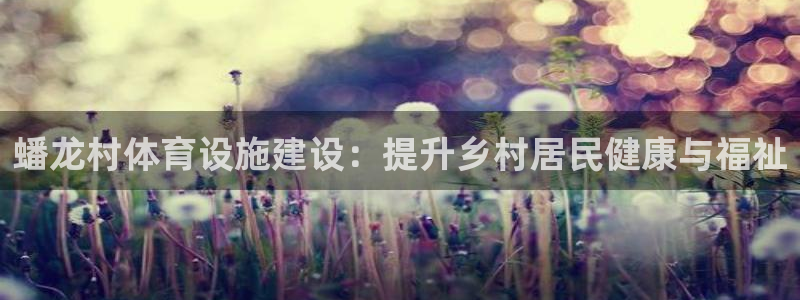 意昂体育3平台注册流程图：蟠龙村体育设施建设：提升乡