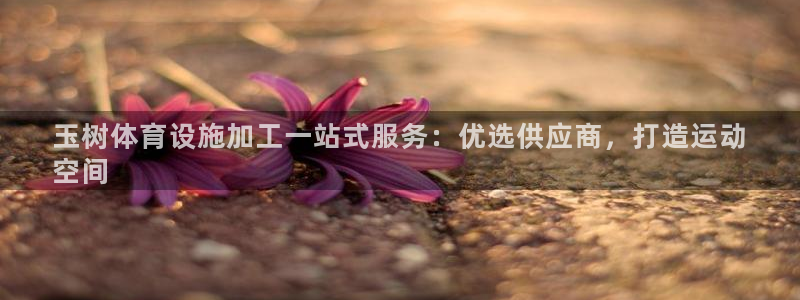 意昂体育3是干嘛的公司：玉树体育设施加工一站式服务：