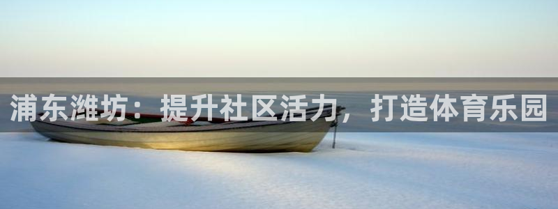 意昂体育3平台：浦东潍坊：提升社区活力，打造体育乐园