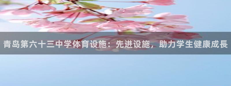 意昂体育3招商：青岛第六十三中学体育设施：先进设施，