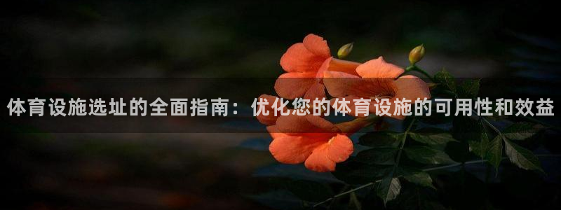 意昂体育3平台注册流程图：体育设施选址的全面指南：优