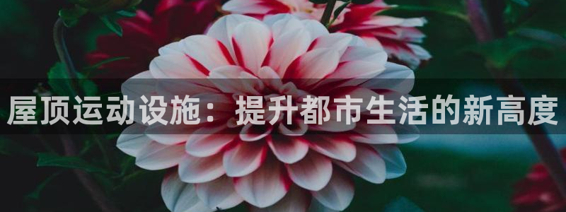 意昂体育3招商电话号码是多少啊：屋顶运动设施：提升都