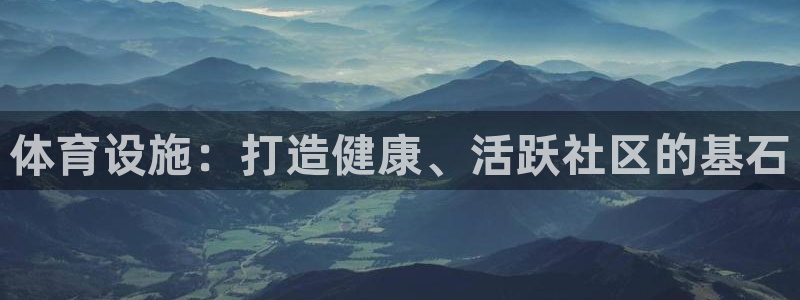 意昂3官方：体育设施：打造健康、活跃社区的基石