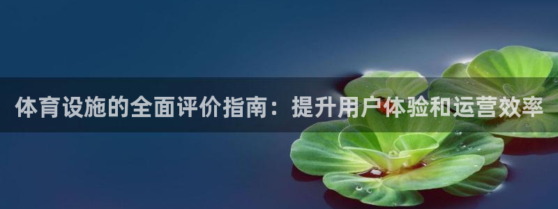 意昂体育3平台假的吗是真的吗：体育设施的全面评价指南