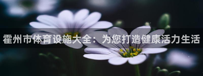 意昂体育3平台注册要钱吗安全吗：霍州市体育设施大全：