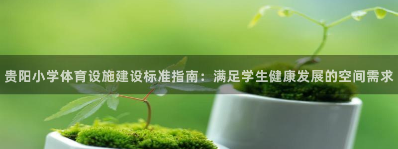 意昂体育3平台假的吗是真的吗：贵阳小学体育设施建设标