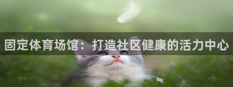 意昂体育3平台注册：固定体育场馆：打造社区健康的活力