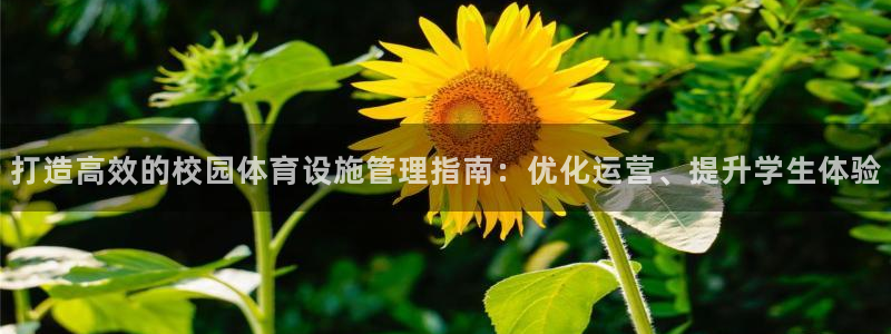 意昂3官网：打造高效的校园体育设施管理指南：优化运营