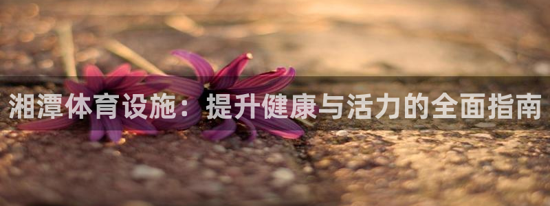 意昂体育3平台是正规平台吗安全吗：湘潭体育设施：提升