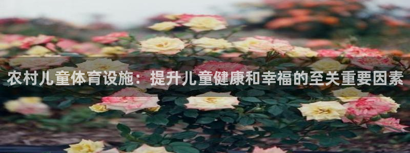 意昂体育3注册：农村儿童体育设施：提升儿童健康和幸福