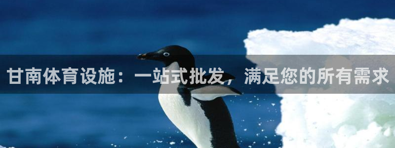 意昂体育3平台：甘南体育设施：一站式批发，满足您的所