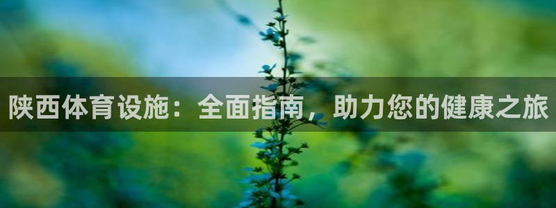 意昂3集团简介：陕西体育设施：全面指南，助力您的健康