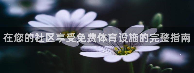 意昂3开户：在您的社区享受免费体育设施的完整指南