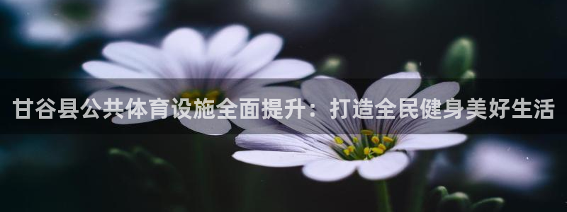 意昂体育3联系电话：甘谷县公共体育设施全面提升：打造全民健身