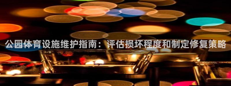 意昂体育3平台APP：公园体育设施维护指南：评估损坏