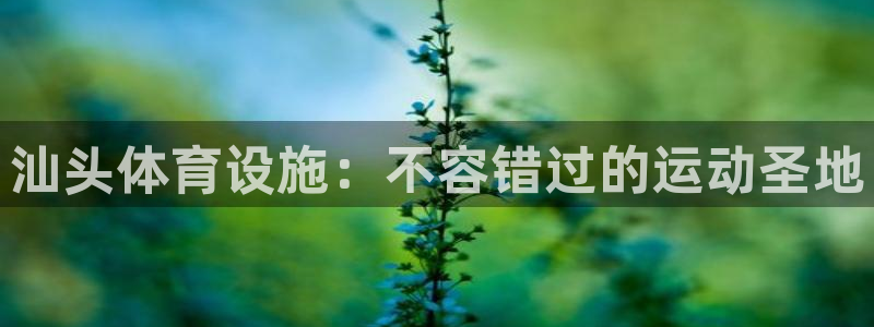 意昂体育3平台注册要钱吗：汕头体育设施：不容错过的运