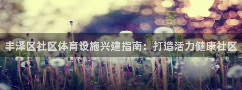 意昂3五金厂：丰泽区社区体育设施兴建指南：打造活力健