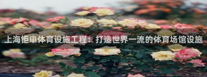 意昂体育3招商电话号码是多少号：上海钜申体育设施工程
