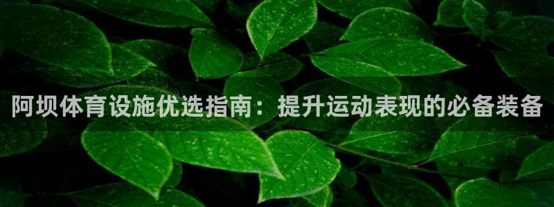 意昂体育3平台：阿坝体育设施优选指南：提升运动表现的