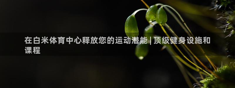 意昂3娱乐40996：在白米体育中心释放您的运动潜能