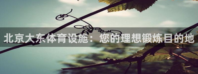 意昂3官网：北京大东体育设施：您的理想锻炼目的地