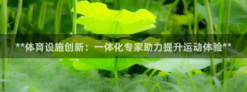 意昂集团官网：**体育设施创新：一体化专家助力提升运